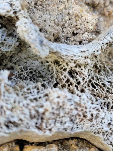 Back from vacations - A week in photos