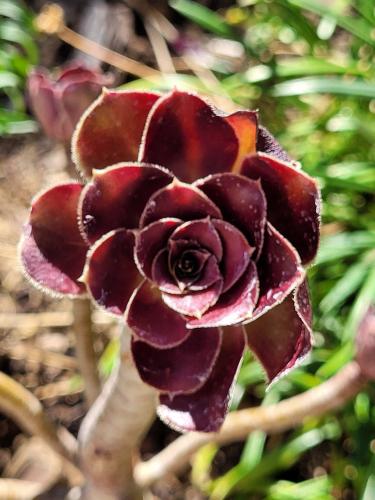 Back from vacations - A week in photos