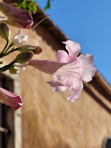 Back from vacations - A week in photos