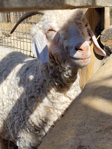 Back from vacations - A week in photos