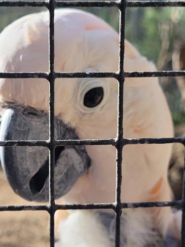 Back from vacations - A week in photos