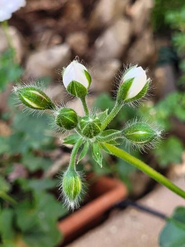 Back from vacations - A week in photos