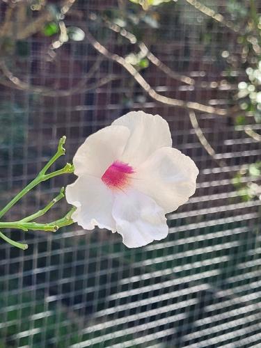 Back from vacations - A week in photos