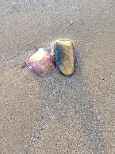 Back from vacations - A week in photos