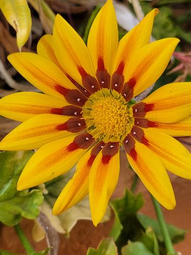 Back from vacations - A week in photos