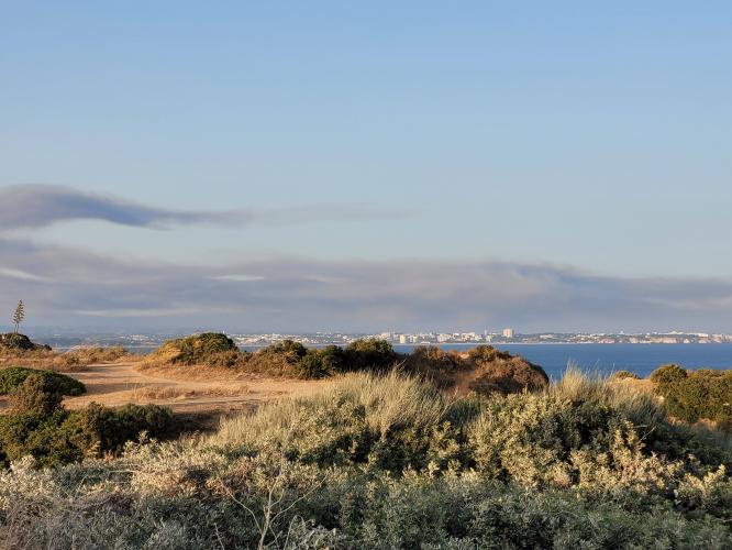 Back from vacations - A week in photos