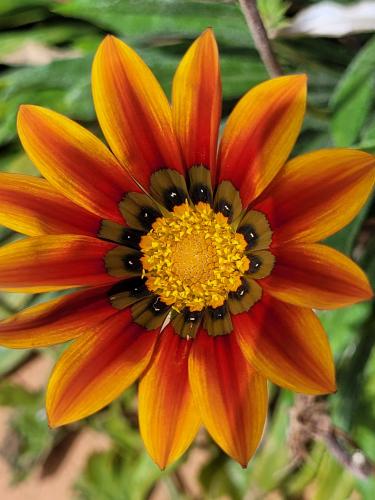 Back from vacations - A week in photos