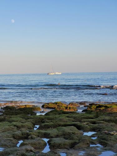 Back from vacations - A week in photos