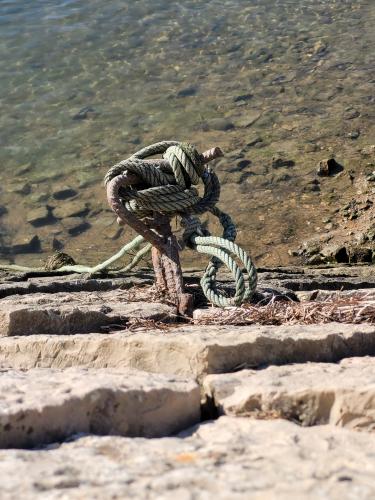 Back from vacations - A week in photos