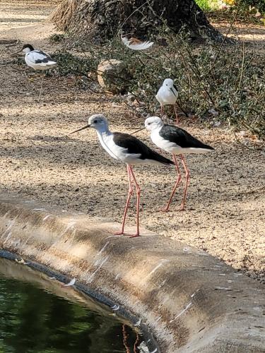 Back from vacations - A week in photos