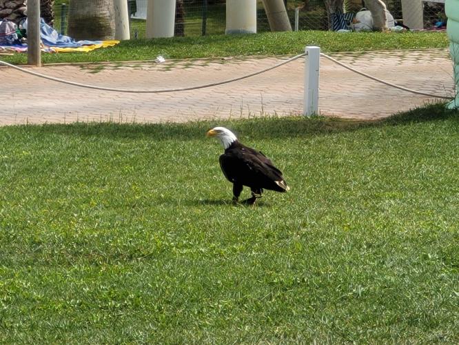 Back from vacations - A week in photos