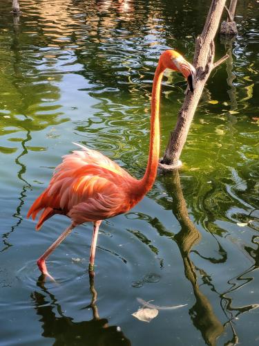 Back from vacations - A week in photos