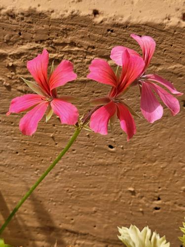 Back from vacations - A week in photos