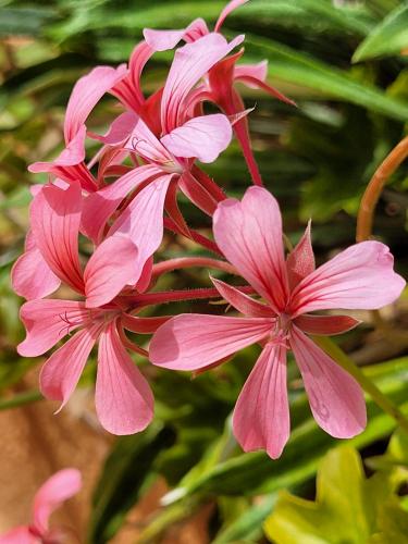 Back from vacations - A week in photos