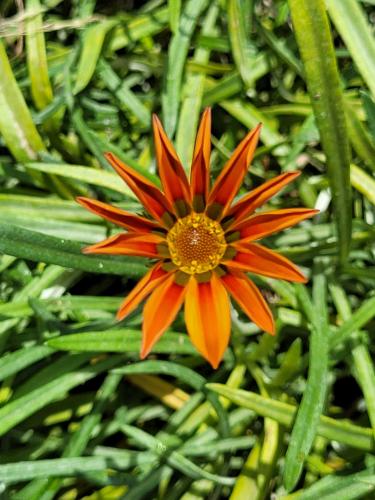 Back from vacations - A week in photos