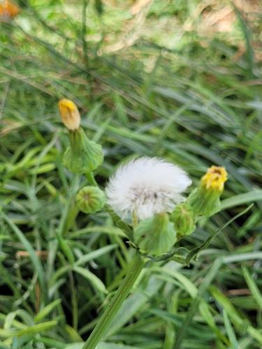 Back from vacations - A week in photos