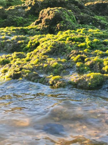 Back from vacations - A week in photos