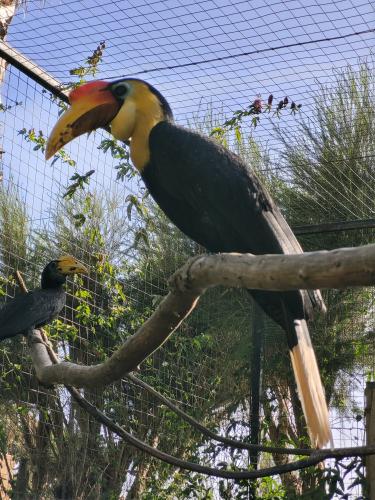 Back from vacations - A week in photos