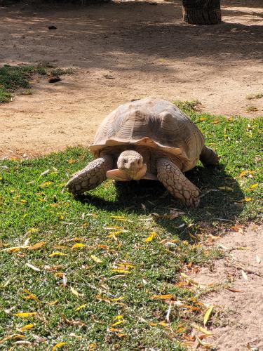 Back from vacations - A week in photos