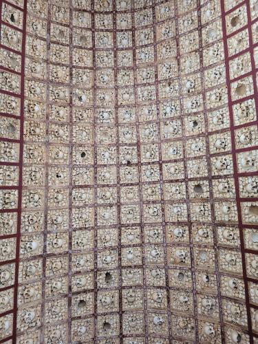 Back from vacations - A week in photos