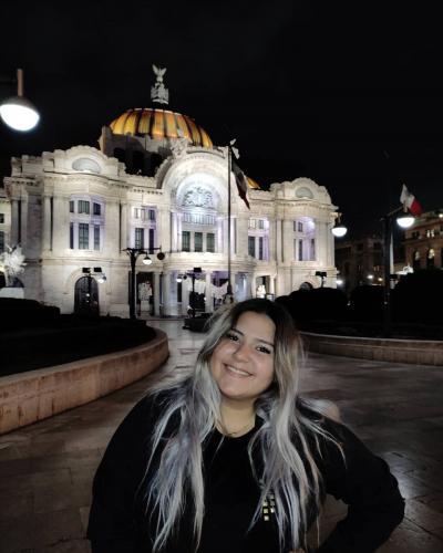 Arquitectura bellas artes, CDMX
