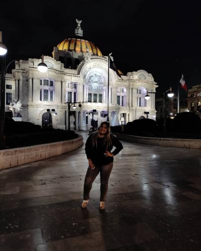Arquitectura bellas artes, CDMX