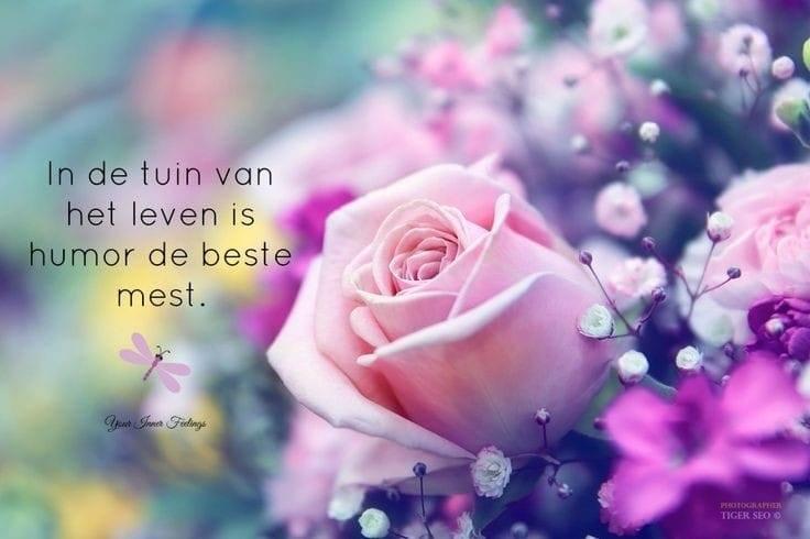 Lach tot je weent ... en lach dan opnieuw