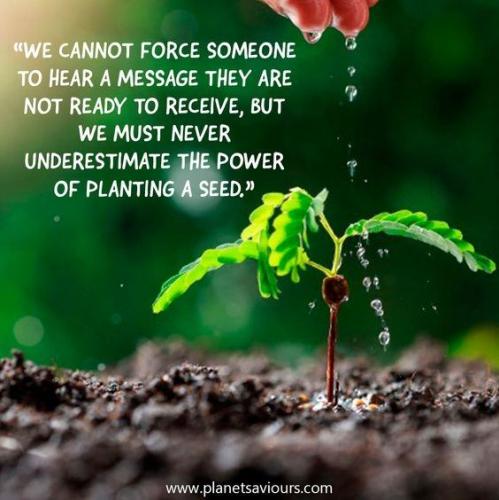 Een zaadje planten ...