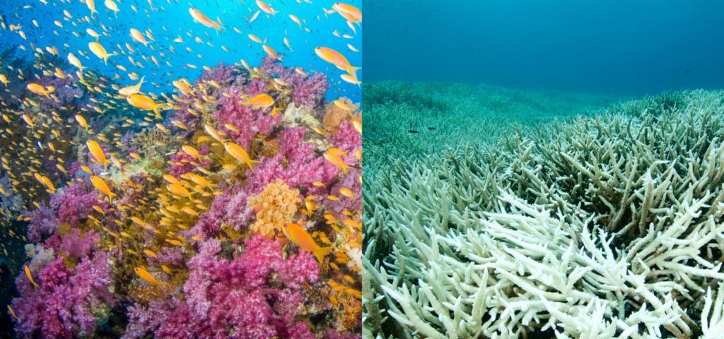 Our climate spins out of control ...