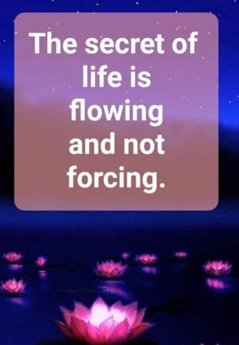 Go with the flow ...