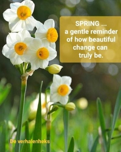 Beautiful changes ...