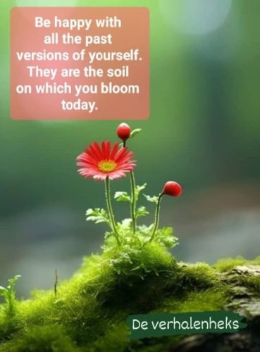 Bloom ...