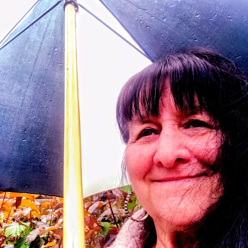 Het regent pijpenstelen