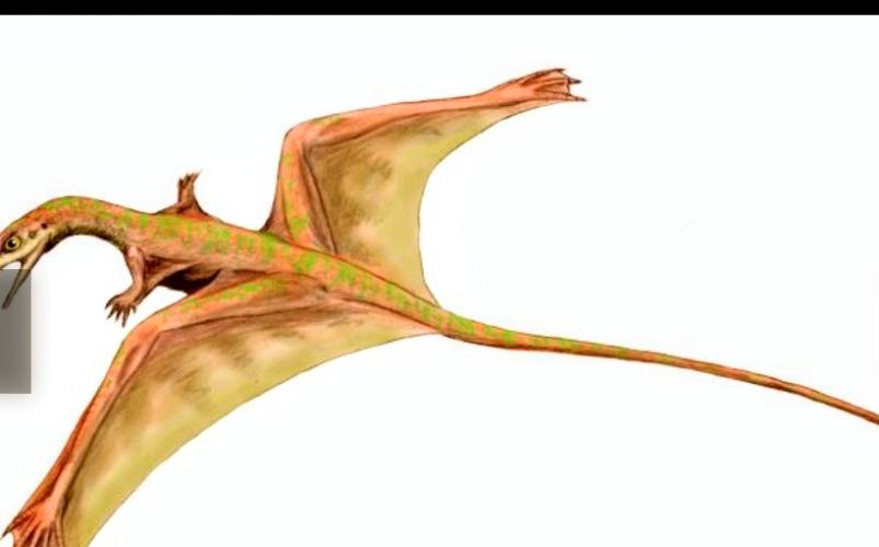 Ronny and Frank gather what they need for their trip