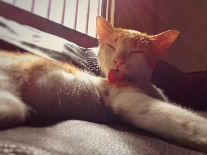 Tomando un baño de sol :D