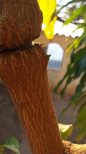 Tan pequeños y tan grande