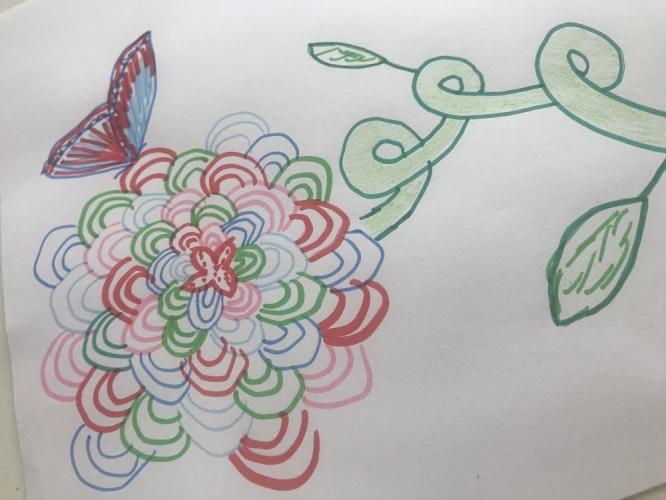 Draw a flower & butterfly.
