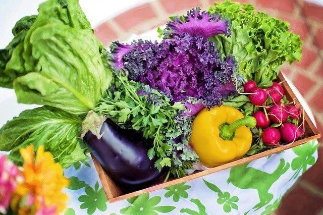 What are the advantages of eating vegetables?