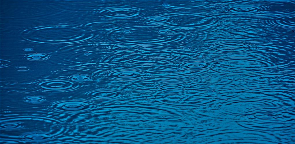 When is raining season in Florida?