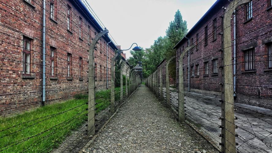 When was Auschwitz Liberated?