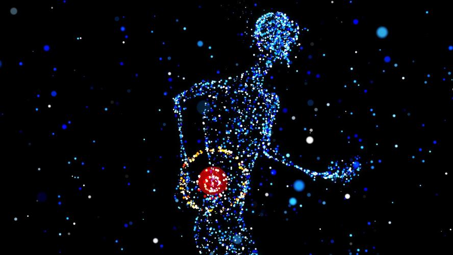 What causes Lower Back Pain?