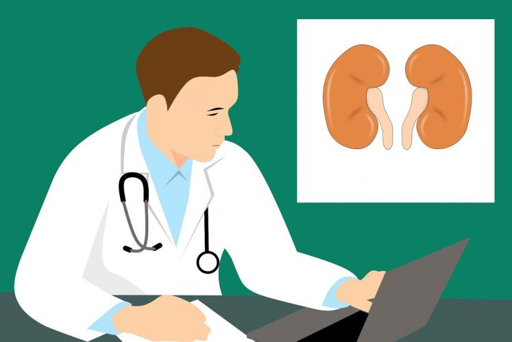 What causes Kidney Infection?