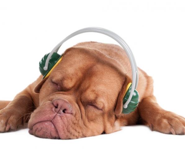 How to use white noise to improve sleep?