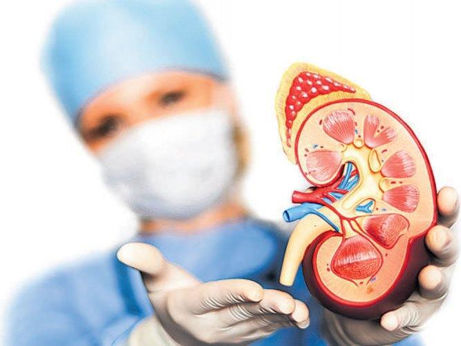 What is normal creatinine level?