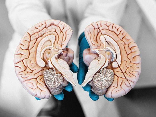 What are the causes of seizures?