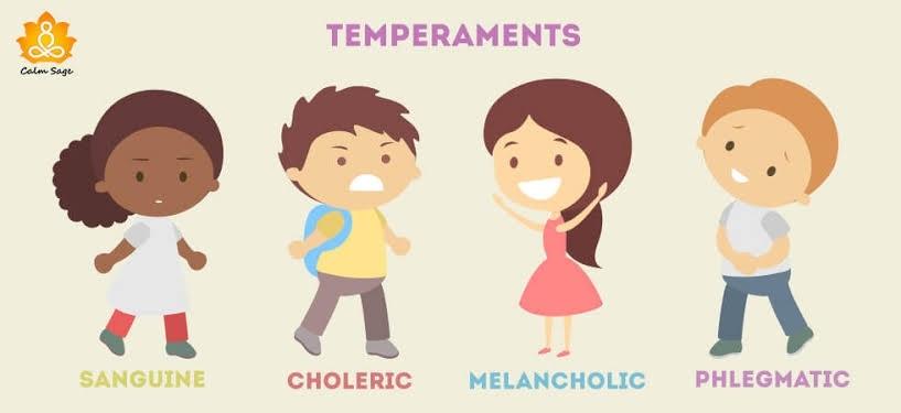 What is Your Human Temperament?