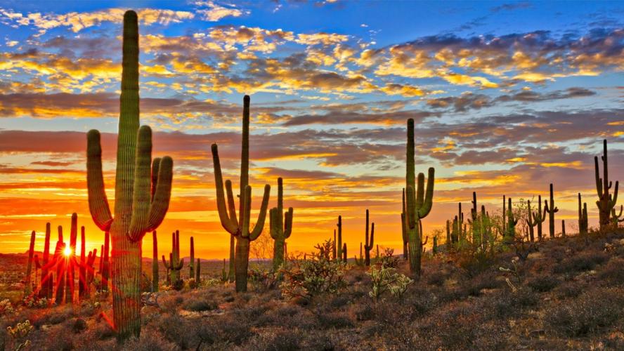 What time is in Arizona?