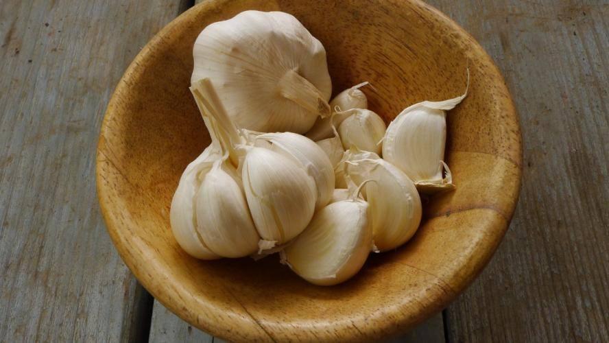 What is a garlic clove?
