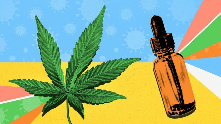 What does cbd do?
