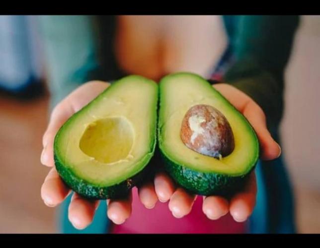 How To Grow an Avocado?